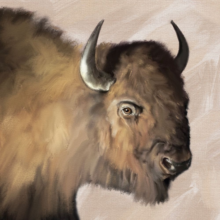 Picture of WESTERN BUFFALO NEUTRAL