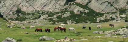 Picture of HORSES ON THE RANGE