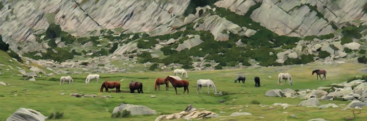 Picture of HORSES ON THE RANGE