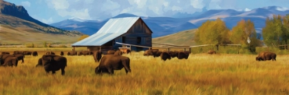 Picture of BUFFALO ON THE RANGE