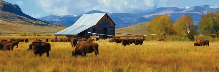 Picture of BUFFALO ON THE RANGE