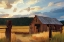 Picture of HARVEST TIME