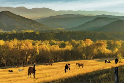 Picture of GRAZING HORSES