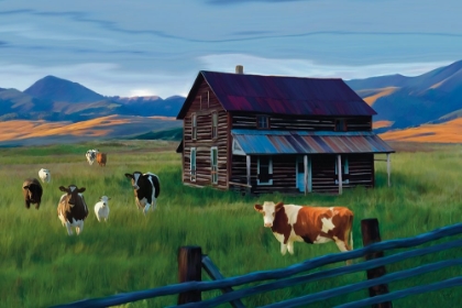 Picture of GRAZING CATTLE