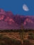 Picture of CACTUS IN THE MOUNTAINS MOONRISE