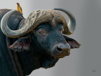 Picture of IVE GOT MY EYE ON YOU BUFFALO