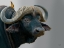 Picture of IVE GOT MY EYE ON YOU BUFFALO