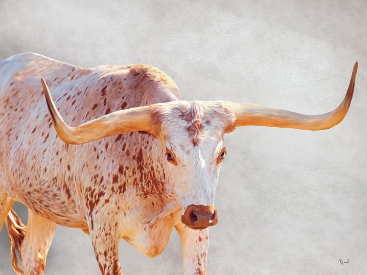 Picture of SHOWING OFF THE HORNS
