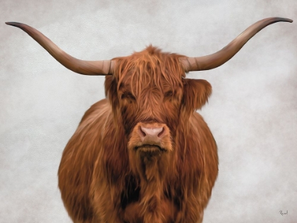 Picture of SHOWING OFF THE HORNS 2