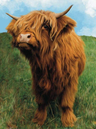 Picture of MINI HIGHLAND COW