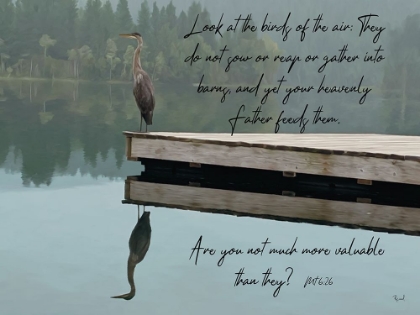 Picture of LOOK AT THE BIRDS