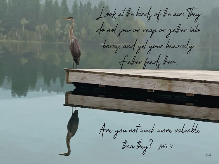 Picture of LOOK AT THE BIRDS