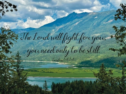 Picture of THE LORD WILL FIGHT