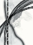 Picture of BOUND IN BLACK AND WHITE