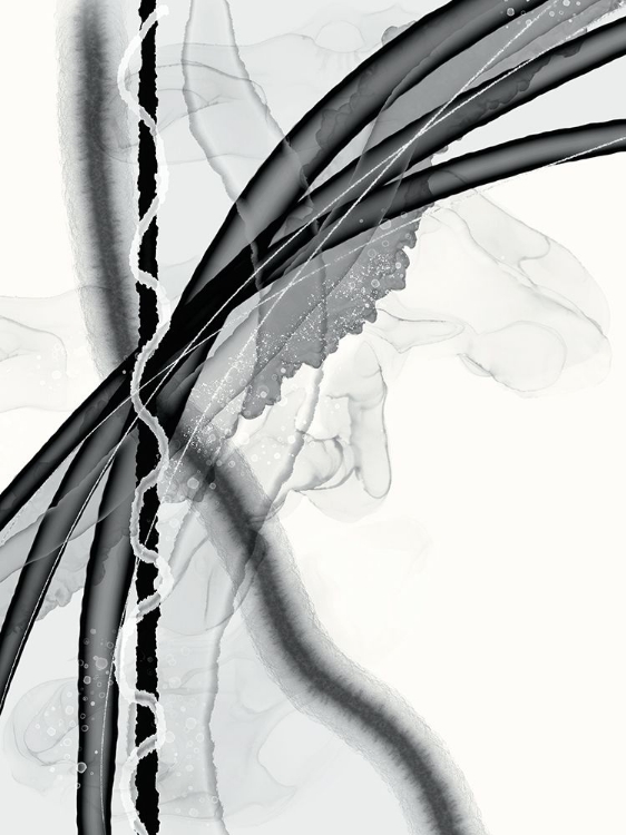 Picture of BOUND IN BLACK AND WHITE
