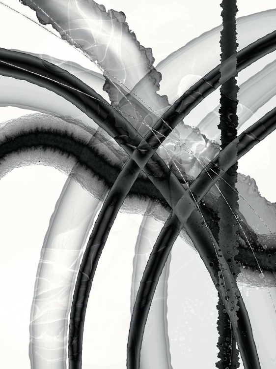 Picture of FREE IN BLACK AND WHITE