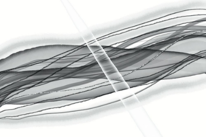 Picture of INTERSECTED LIVES BW 1