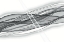Picture of INTERSECTED LIVES BW 1