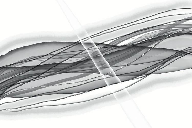Picture of INTERSECTED LIVES BW 1