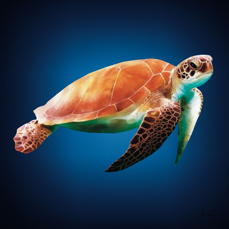 Picture of SEA TURTLE