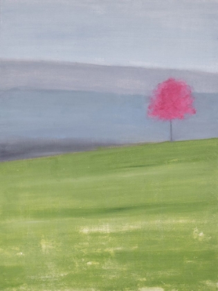 Picture of WIDE OPEN SPACES