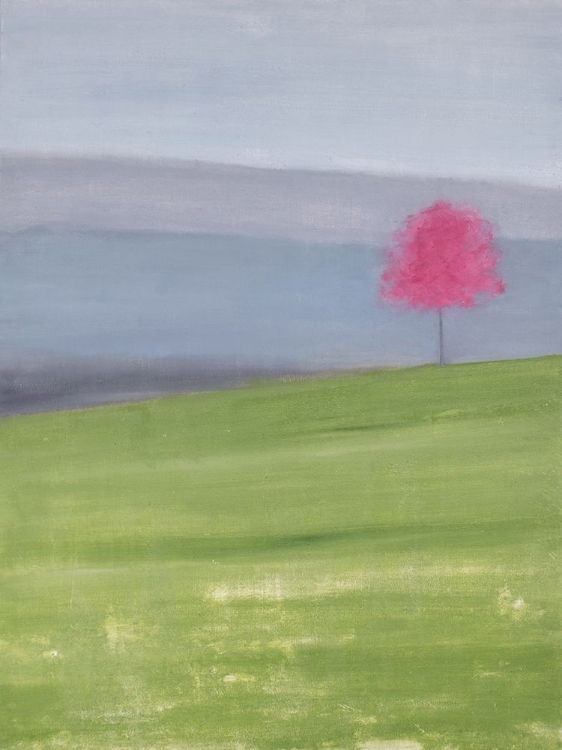 Picture of WIDE OPEN SPACES