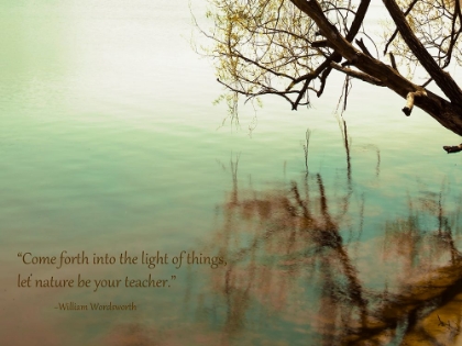 Picture of COME FORTH IN NATURE