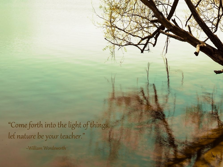 Picture of COME FORTH IN NATURE