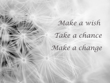 Picture of WISHES BLACK AND WHITE