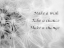 Picture of WISHES BLACK AND WHITE