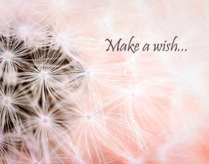 Picture of WISHES PINK