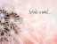 Picture of WISHES PINK