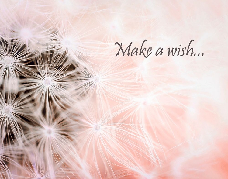 Picture of WISHES PINK