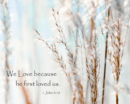 Picture of WE LOVE BECAUSE