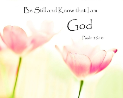 Picture of BE STILL AND KNOW