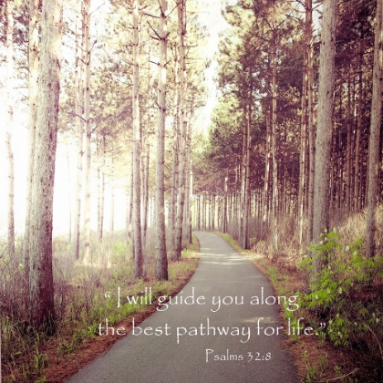 Picture of PATHWAY TO LIFE