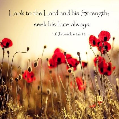 Picture of LOOK TO THE LORD