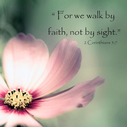 Picture of PINK COSMO WALK IN FAITH