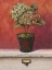 Picture of HORTENSIA STUDY