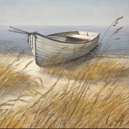 Picture of SHORELINE BOAT