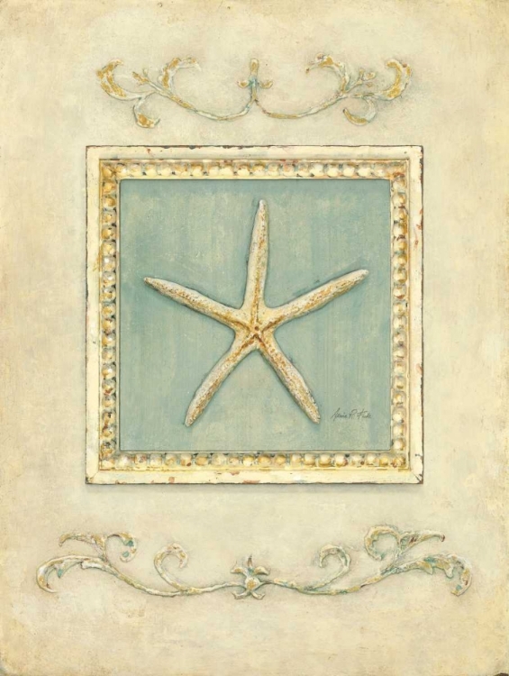 Picture of CLASSIC STARFISH  