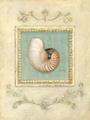 Picture of CLASSIC SEASHELL DETAIL  