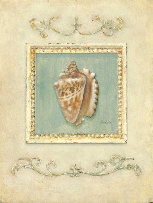 Picture of CLASSIC CONCH