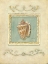 Picture of CLASSIC CONCH