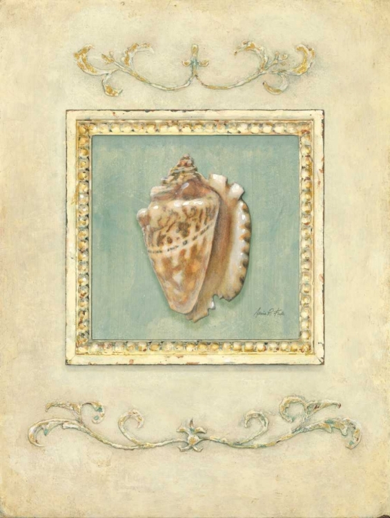 Picture of CLASSIC CONCH