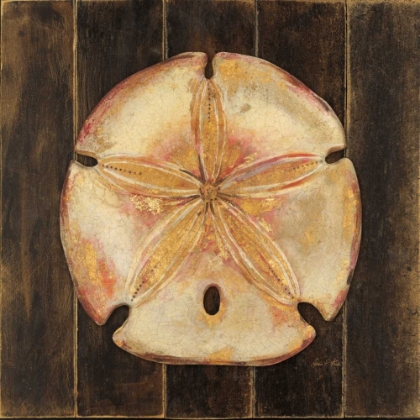 Picture of OCEAN SAND DOLLAR