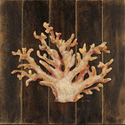 Picture of OCEAN CORAL