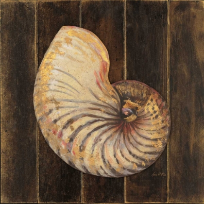 Picture of OCEAN NAUTILUS