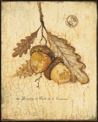 Picture of GILDED OAK