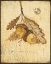 Picture of GILDED OAK